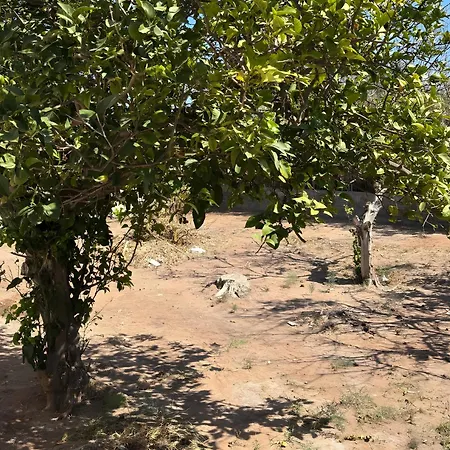 Σπίτι διακοπών Angelina's Cute House