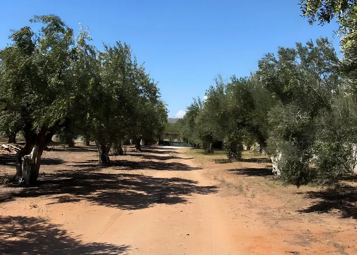 Angelina's Cute House Nyaraló *