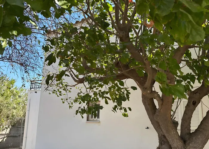 Angelina's Cute House