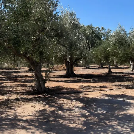 Casa de Férias Angelina's Cute House