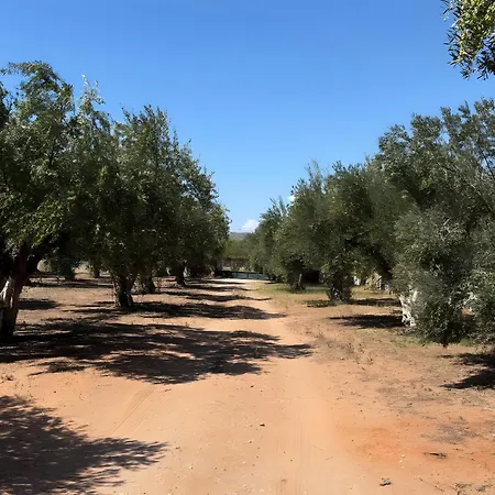 Angelina's Cute House Дом отдыха *