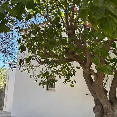 Angelina's Cute House