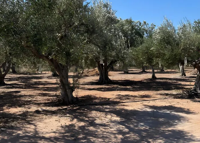 Casa de Férias Angelina's Cute House